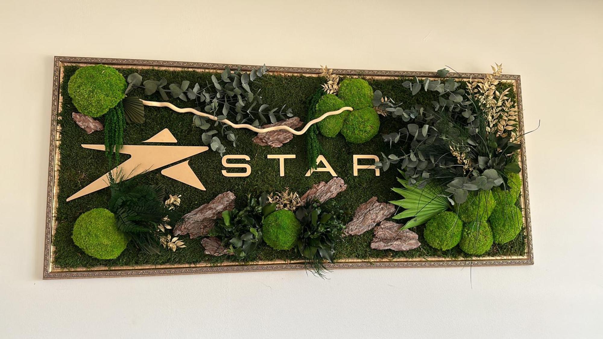 Star Hotel Τουλσέα Εξωτερικό φωτογραφία
